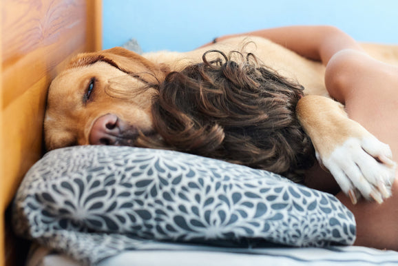 Pairing Your New Bed With The Right Pillow